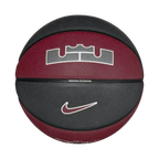Nike Unisex All Court 2.0 8P L James
